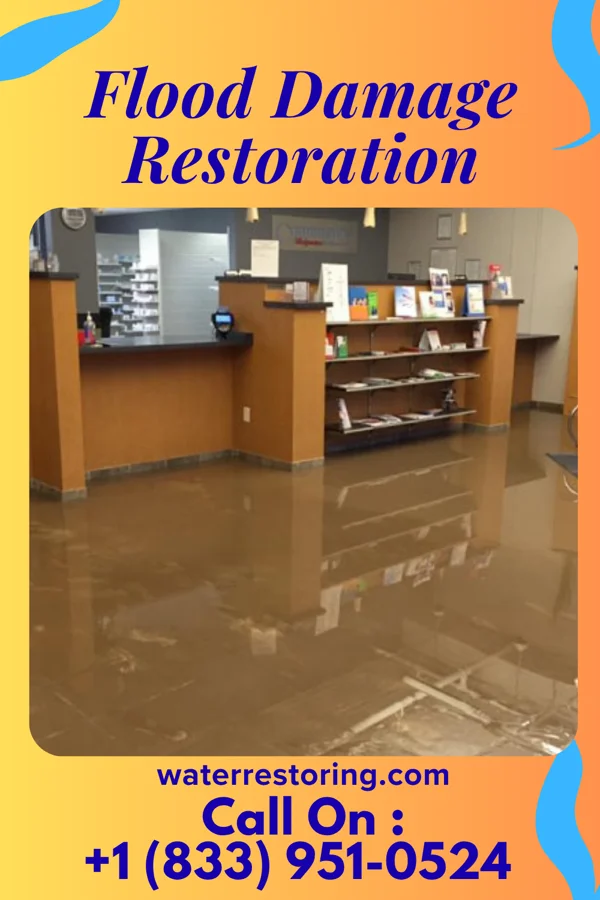 Flood Damage Restoration in Mackey, IN