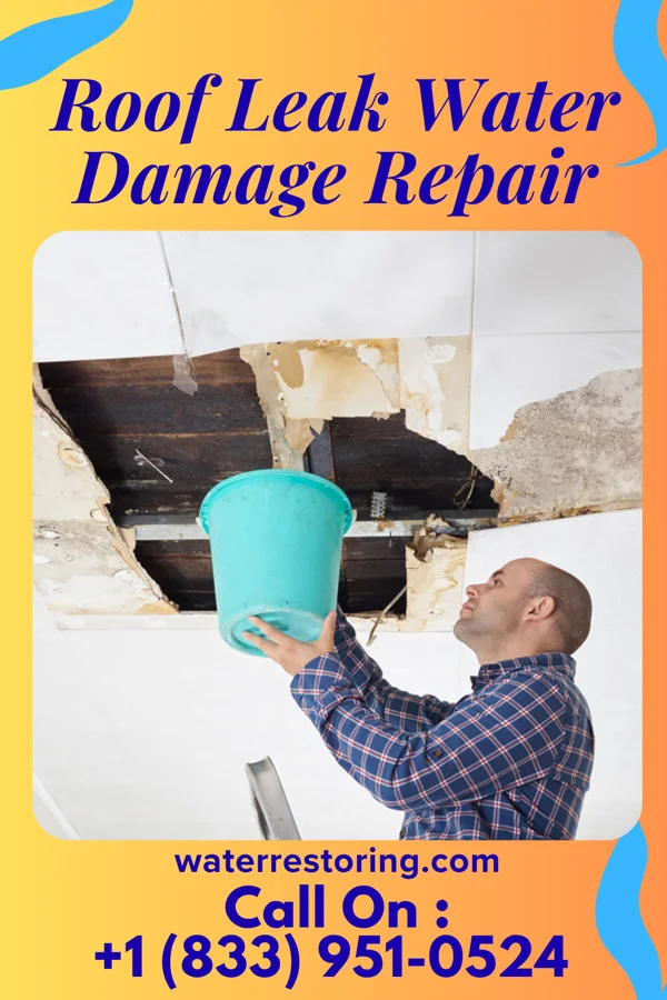 Roof Leak Water Damage Repair in Mackey, IN