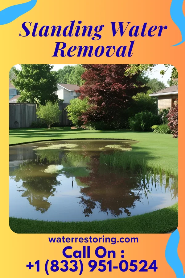 Standing Water Removal in Mackey, IN